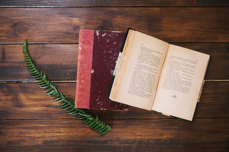 Berkas:Books Novel.jpg