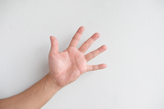 Berkas:Left hand.jpg