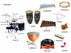 Berbagai jenis alat musik perkusi yang menunjukkan keragaman bentuk, mulai dari drum (membranofon) hingga metalofon (idiofon).